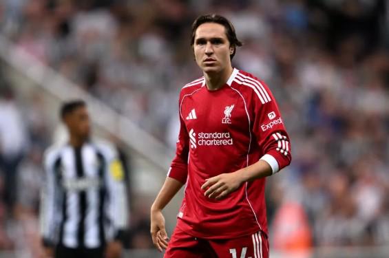 乌克兰欲以,矿产资源换,取安全援助,kaiyun·开云（中国）官网,KaiYun,SPORTS,kaiyun·开云（中国）中国官网,KaiYun体育平台,kaiyun·开云（中国）服务