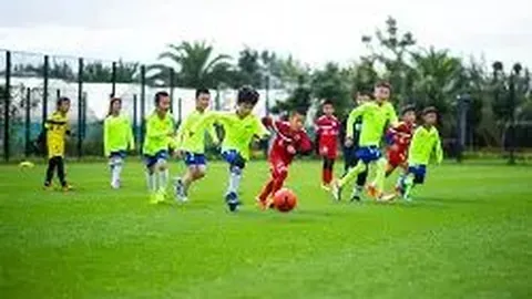 kaiyun·开云（中国）