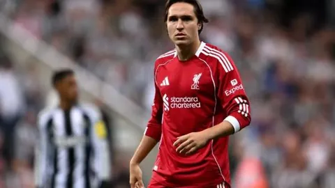 kaiyun·开云（中国）